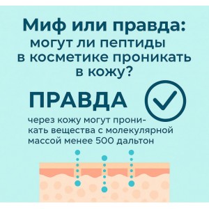 Пептиды для кожи: как они проникают в клетки и действуют изнутри и снаружи