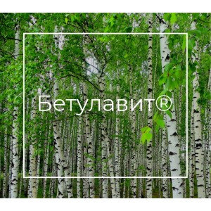 Бетулавит® - экстракт бересты