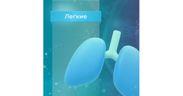 Пептиды Хавинсона для легких | Купить в официальном магазине Peptides