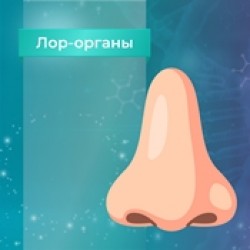 Пептиды для ЛОР органов