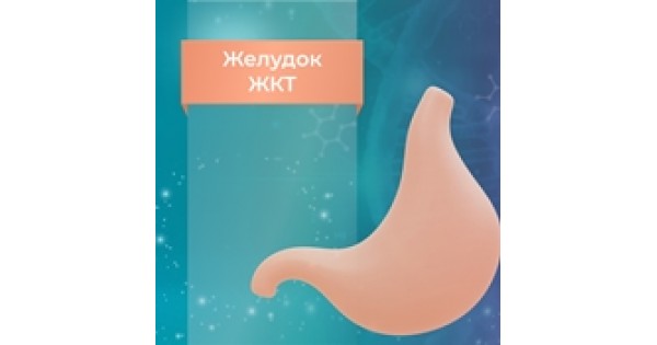 Пептиды Хавинсона для желудка и желудочно-кишечного тракта