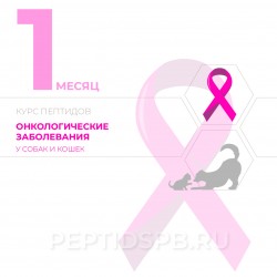 Пептиды для животных при онкологических заболеваниях (КУРС 1-Й МЕСЯЦ - на базе капсул)