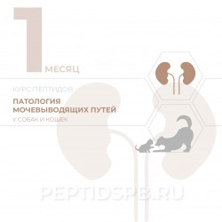 Пептиды для животных при заболеваниях почек (КУРС 1-Й МЕСЯЦ - на базе капсул)