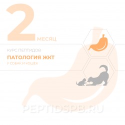 Пептиды для животных при воспалительных заболеваниях кишечника (КУРС 2-Й МЕСЯЦ - на базе капсул)