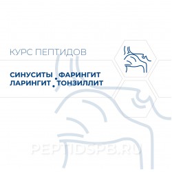 Пептиды при синусите, фарингите, ларингите, тонзиллите