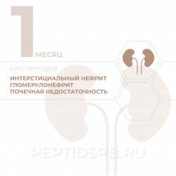 КУРС 1-Й МЕСЯЦ - Интерстициальный нефрит, гломерулонефрит, почечная недостаточность КУРС 1-Й МЕСЯЦ - Интерстициальный нефрит, гломерулонефрит, почечная недостаточность