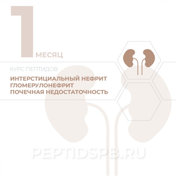 КУРС 1-Й МЕСЯЦ - Интерстициальный нефрит, гломерулонефрит, почечная недостаточность