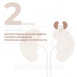 КУРС 2-Й МЕСЯЦ - Интерстициальный нефрит, гломерулонефрит, почечная недостаточность КУРС 2-Й МЕСЯЦ - Интерстициальный нефрит, гломерулонефрит, почечная недостаточность