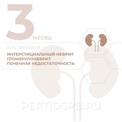 КУРС 3-Й МЕСЯЦ - Интерстициальный нефрит, гломерулонефрит, почечная недостаточность КУРС 3-Й МЕСЯЦ - Интерстициальный нефрит, гломерулонефрит, почечная недостаточность