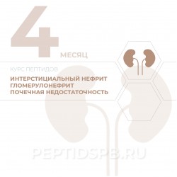 КУРС 4-Й МЕСЯЦ - Интерстициальный нефрит, гломерулонефрит, почечная недостаточность КУРС 4-Й МЕСЯЦ - Интерстициальный нефрит, гломерулонефрит, почечная недостаточность
