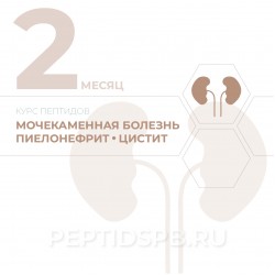 КУРС 2-Й МЕСЯЦ - Мочекаменная болезнь, пиелонефрит, цистит