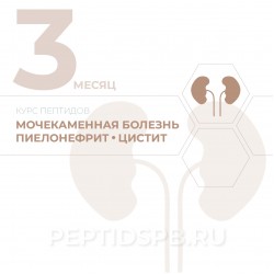 КУРС 3-Й МЕСЯЦ - Мочекаменная болезнь, пиелонефрит, цистит