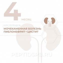 КУРС 4-Й МЕСЯЦ - Мочекаменная болезнь, пиелонефрит, цистит
