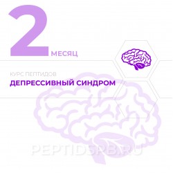КУРС 2-Й МЕСЯЦ - Депрессивный синдром