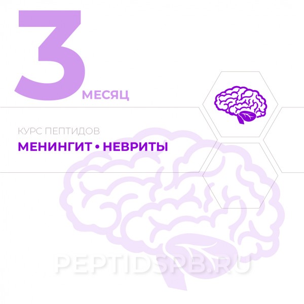 КУРС 3-Й МЕСЯЦ - Менингит, невриты