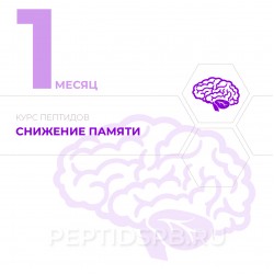 КУРС 1-Й МЕСЯЦ - Снижение памяти КУРС 1-Й МЕСЯЦ - Снижение памяти