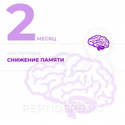 КУРС 2-Й МЕСЯЦ - Снижение памяти КУРС 2-Й МЕСЯЦ - Снижение памяти