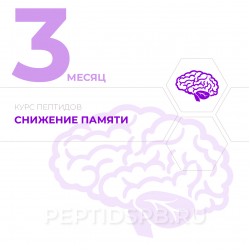 КУРС 3-Й МЕСЯЦ - Снижение памяти КУРС 3-Й МЕСЯЦ - Снижение памяти