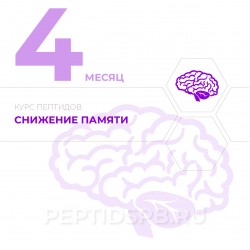 КУРС 4-Й МЕСЯЦ - Снижение памяти КУРС 4-Й МЕСЯЦ - Снижение памяти