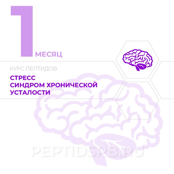 КУРС 1-Й МЕСЯЦ - Стресс, синдром хронической усталости