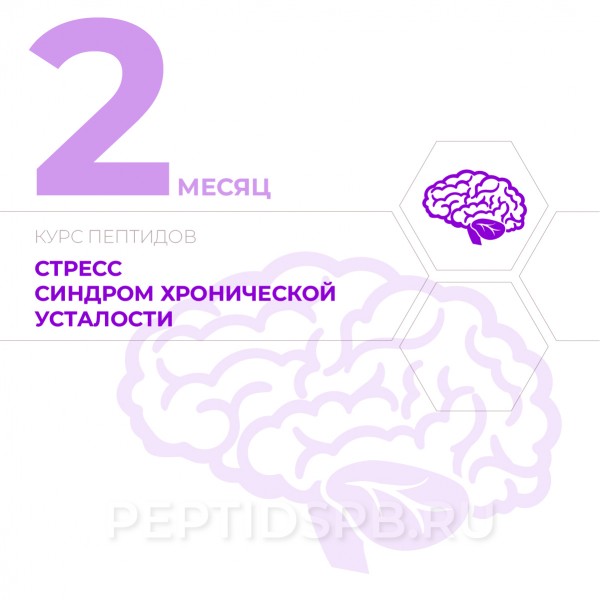 КУРС 2-Й МЕСЯЦ - Стресс, синдром хронической усталости