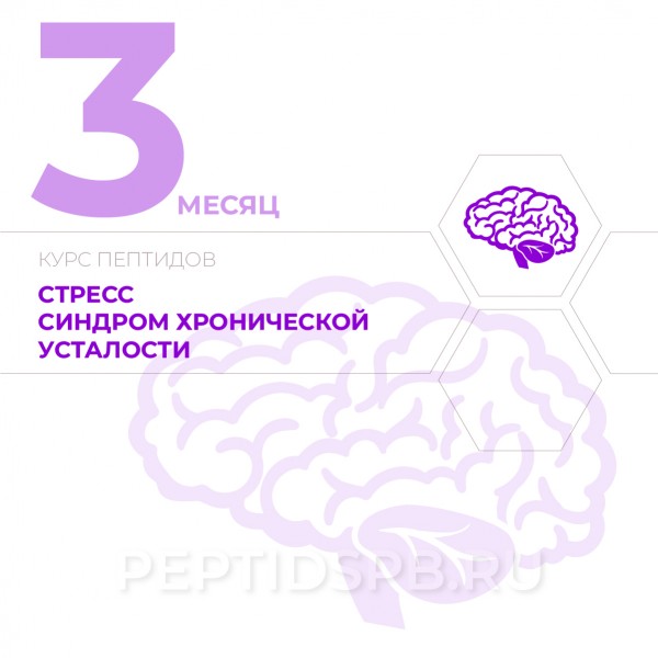 КУРС 3-Й МЕСЯЦ - Стресс, синдром хронической усталости