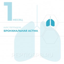 Курс пептидов при бронхиальной астме 1-й месяц