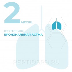 Курс пептидов при бронхиальной астме 2-й месяц