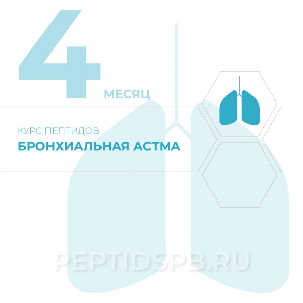 Курс пептидов при бронхиальной астме 4-й месяц