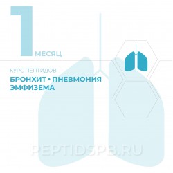Курс пептидов при бронхите, пневмонии, эмфиземе 1-й месяц