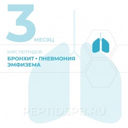 Курс пептидов при бронхите, пневмонии, эмфиземе 3-й месяц