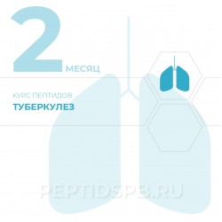 Курс пептидов при туберкулезе 2-й месяц