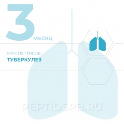 Курс пептидов при туберкулезе 3-й месяц