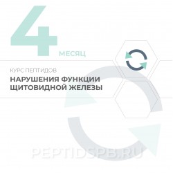 Курс пептидов для щитовидной железы 4-й месяц