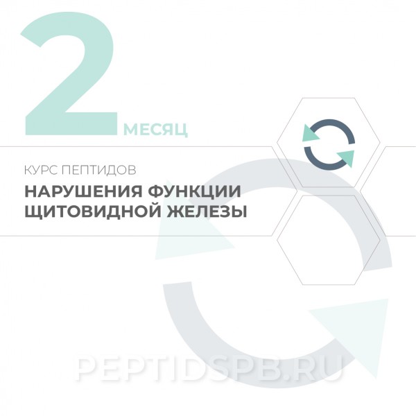 Курс пептидов при нарушениях щитовидной железы 2-й месяц