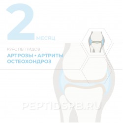 КУРС 2-Й МЕСЯЦ - Артрозы, артриты, остеохондроз