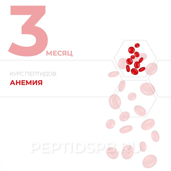 Курс пептидов при анемии 3-й месяц