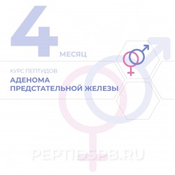КУРС 4-Й МЕСЯЦ - Аденома предстательной железы КУРС 4-Й МЕСЯЦ - Аденома предстательной железы