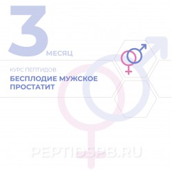 КУРС 3-Й МЕСЯЦ - Бесплодие мужское, простатит КУРС 3-Й МЕСЯЦ - Бесплодие мужское, простатит
