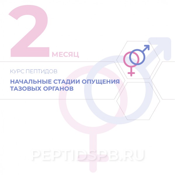 КУРС 2-Й МЕСЯЦ - Начальные стадии опущения тазовых органов с явлением стрессорного недержания мочи