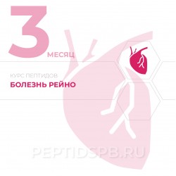 КУРС 3-Й МЕСЯЦ - Болезнь Рейно