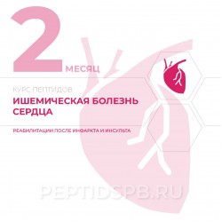 КУРС 2-Й МЕСЯЦ - Ишемическая болезнь сердца, реабилитация после инфаркта и инсульта КУРС 2-Й МЕСЯЦ - Ишемическая болезнь сердца, реабилитация после инфаркта и инсульта
