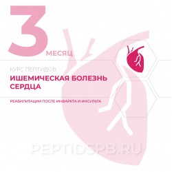 КУРС 3-Й МЕСЯЦ - Ишемическая болезнь сердца, реабилитация после инфаркта и инсульта КУРС 3-Й МЕСЯЦ - Ишемическая болезнь сердца, реабилитация после инфаркта и инсульта