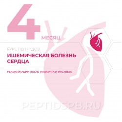 КУРС 4-Й МЕСЯЦ - Ишемическая болезнь сердца, реабилитация после инфаркта и инсульта КУРС 4-Й МЕСЯЦ - Ишемическая болезнь сердца, реабилитация после инфаркта и инсульта