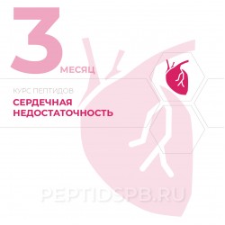 КУРС 3-Й МЕСЯЦ - Сердечная недостаточность КУРС 3-Й МЕСЯЦ - Сердечная недостаточность