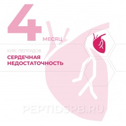 КУРС 4-Й МЕСЯЦ - Сердечная недостаточность КУРС 4-Й МЕСЯЦ - Сердечная недостаточность