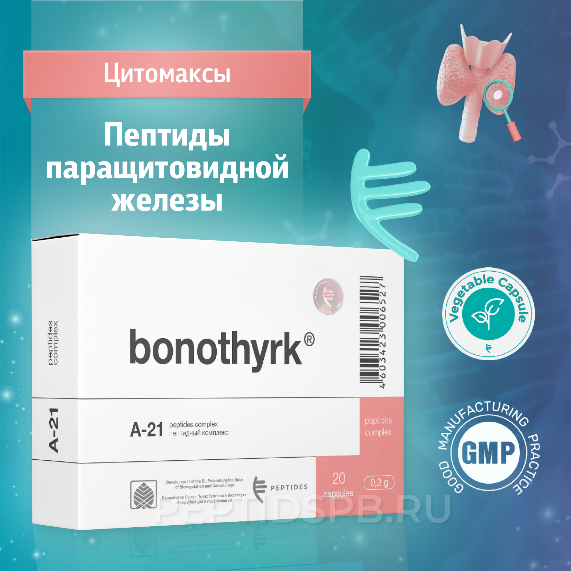Бонотирк 20 капсул — паращитовидная железа с пептидами