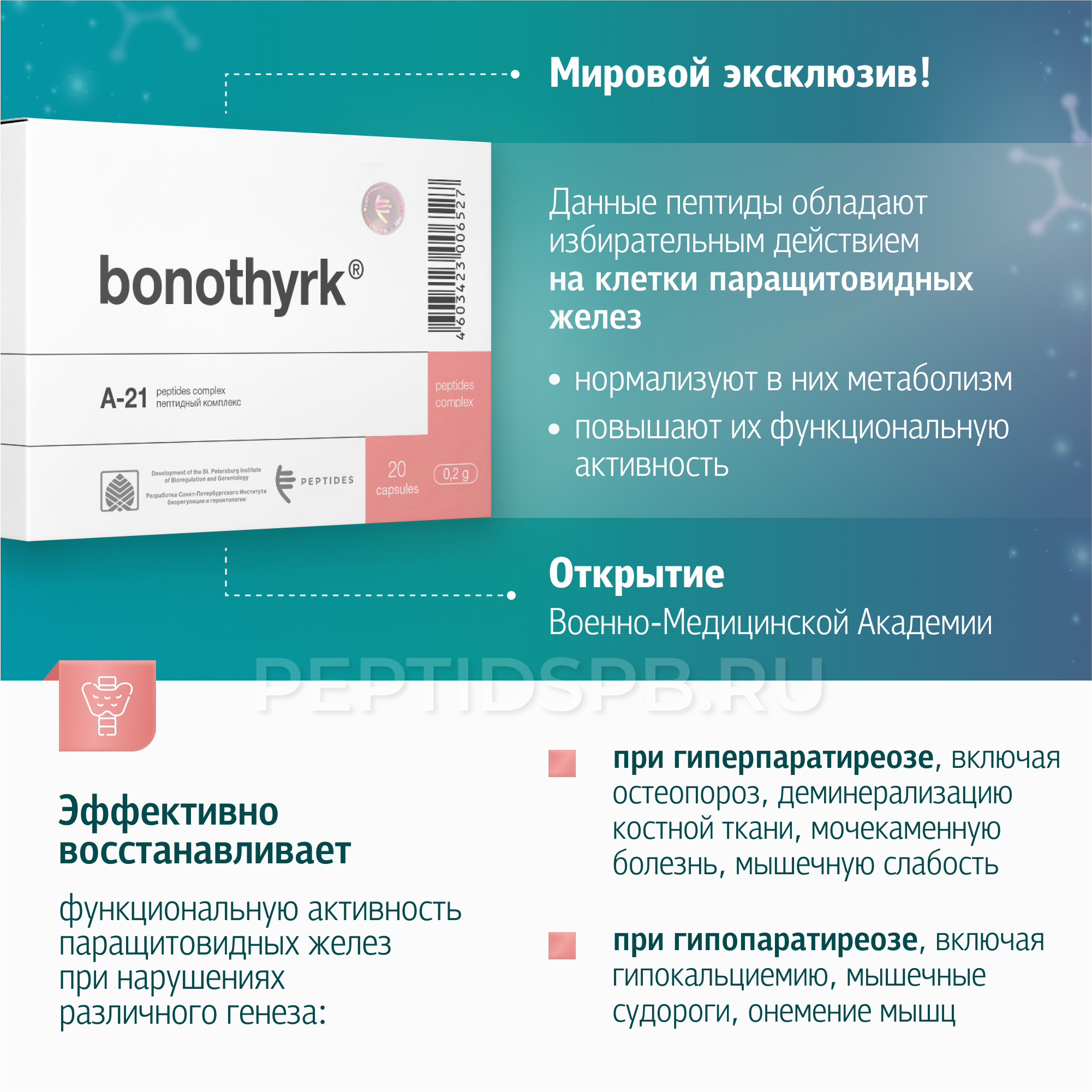 Бонотирк 20 капсул — паращитовидная железа с пептидами