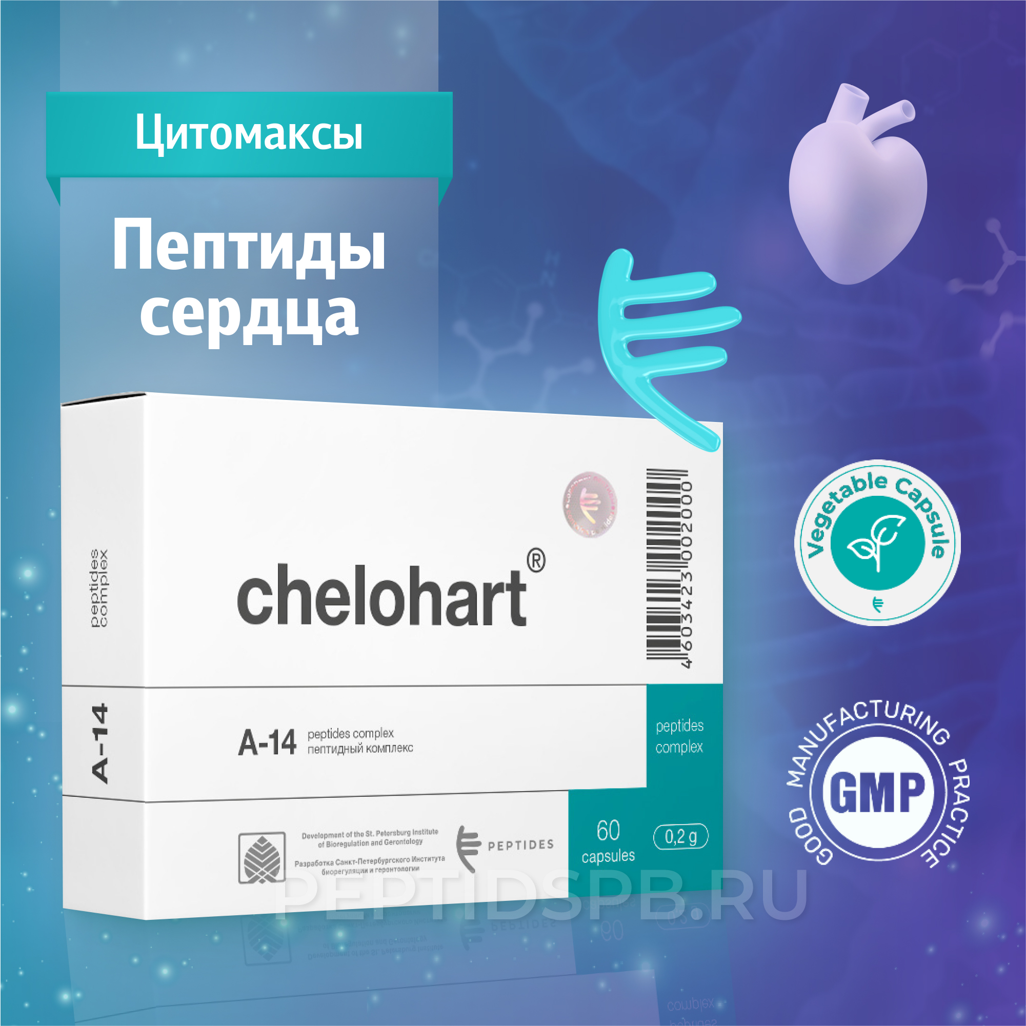 Челохарт 60 капсул — натуральные пептиды сердца