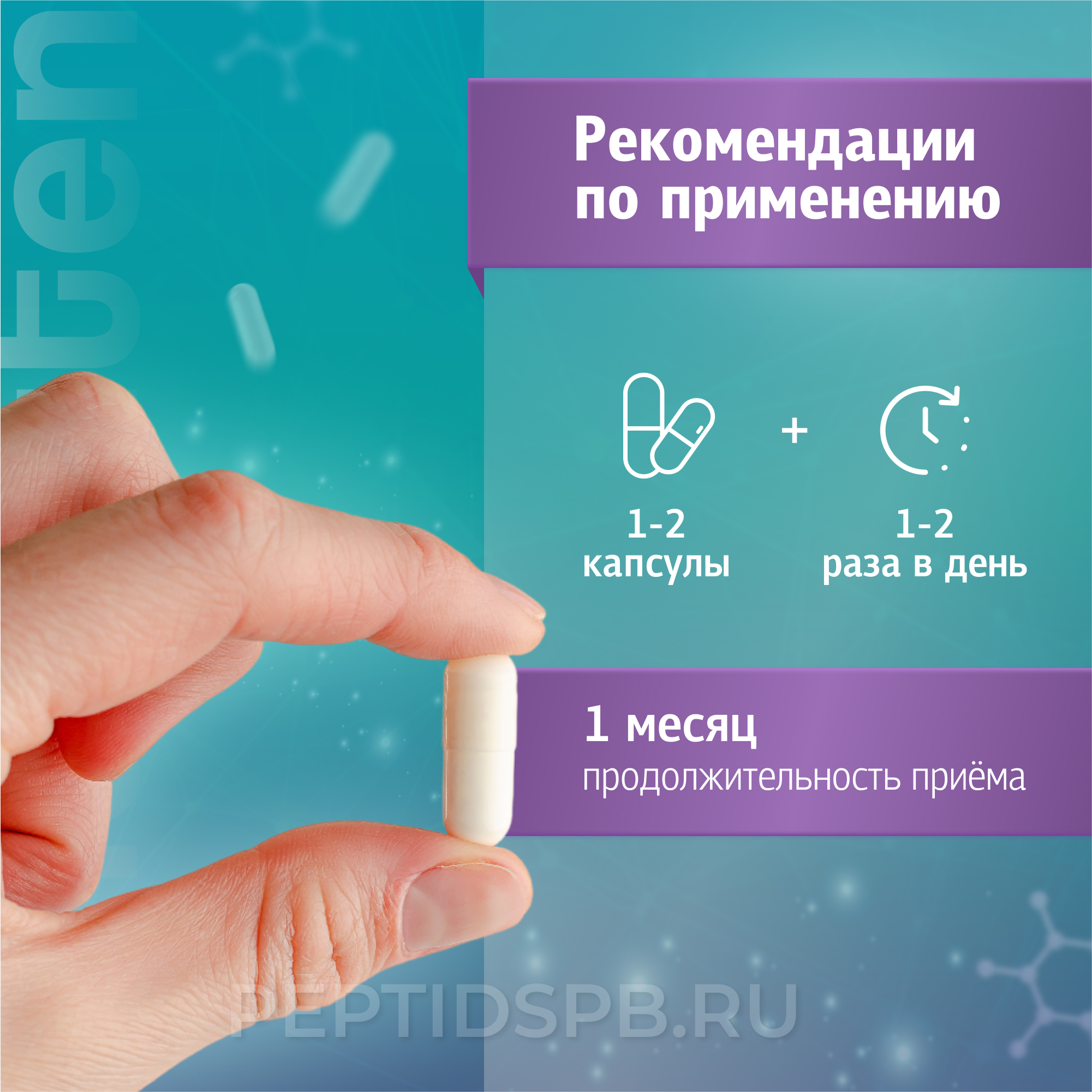 Эндолутен 60 капсул — натуральные пептиды эпифиза A-8
